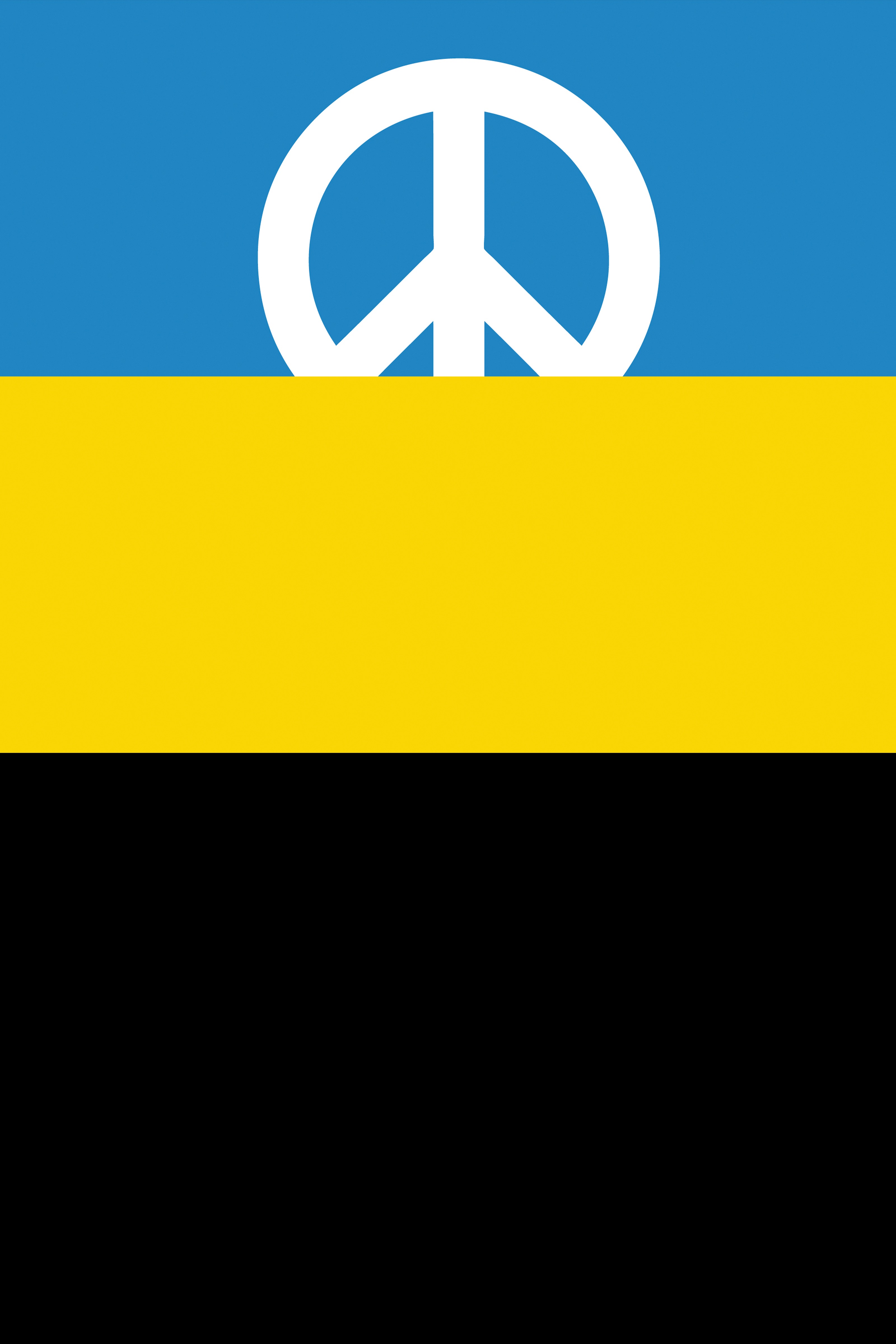 Ukraine Flag 