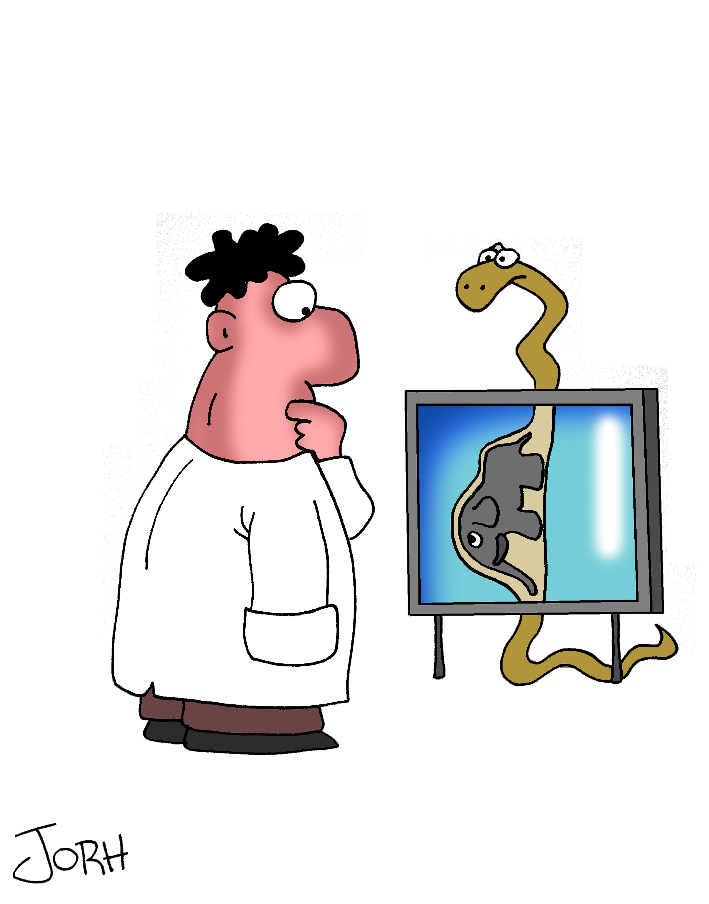 Pregnant Snake- Sweatshirt by Jorge Luis "Johr" Lepera