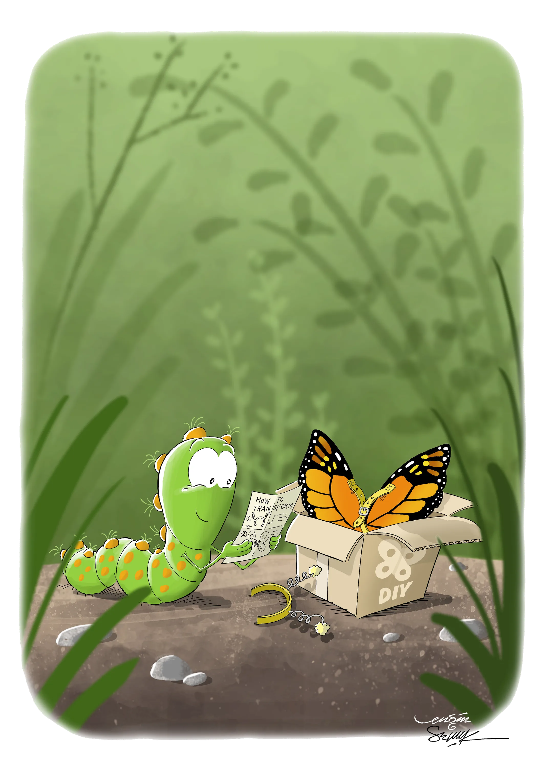 Caterpillar Butterfly