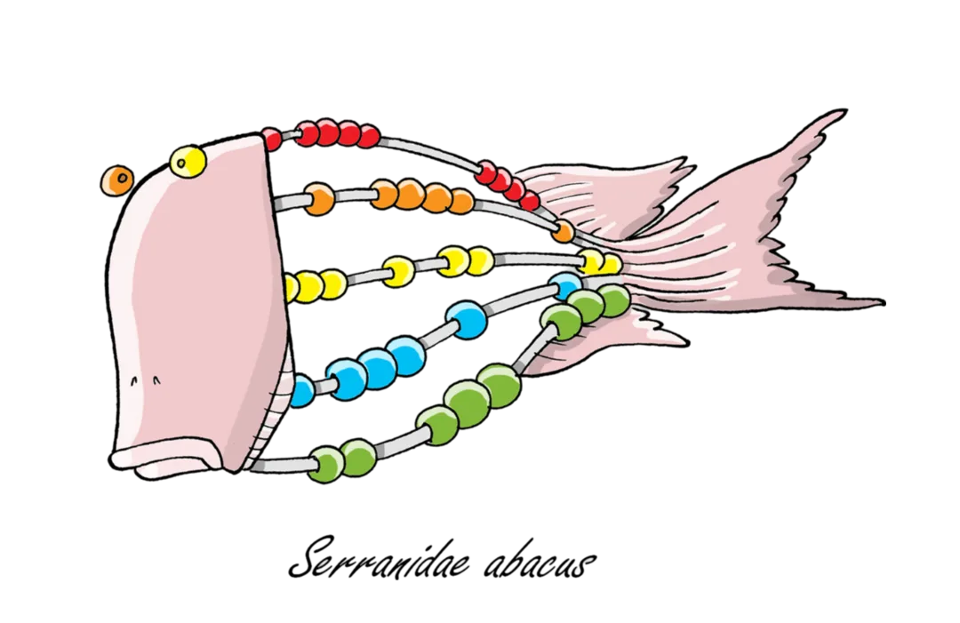 Abacus Fish