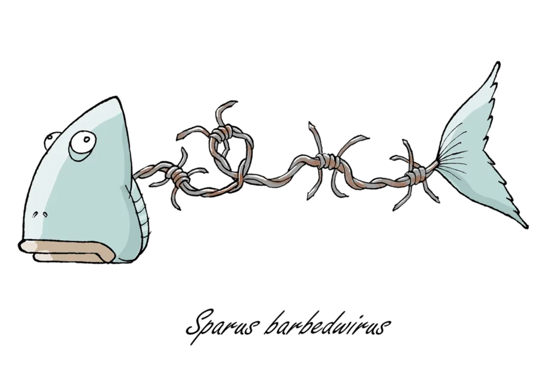 Barbedwire Fish
