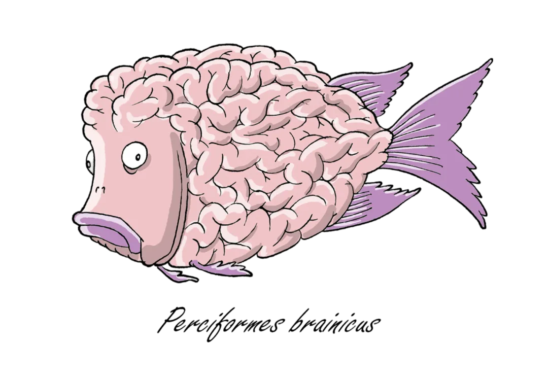 Brain Fish