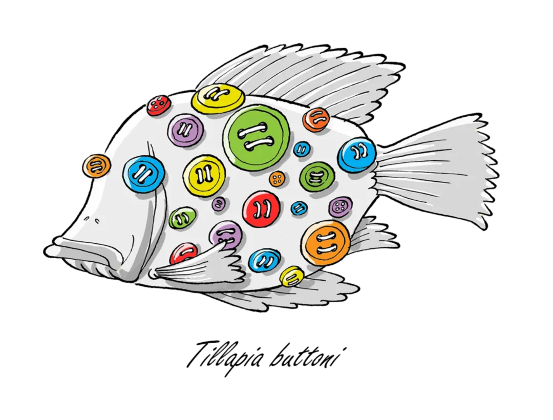 Button Fish