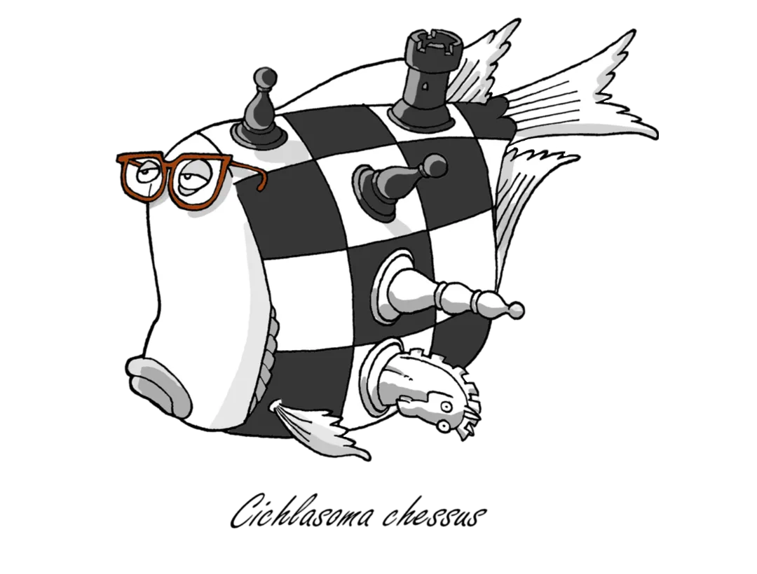 Chess Fish