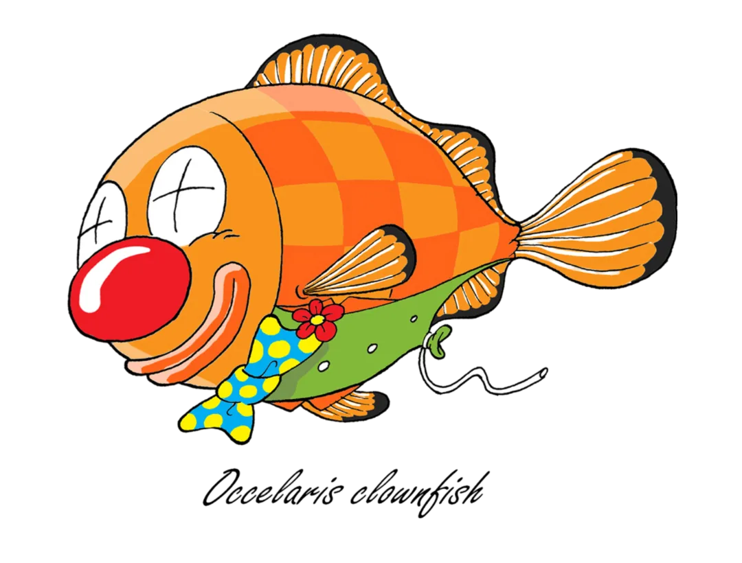Clown Fish