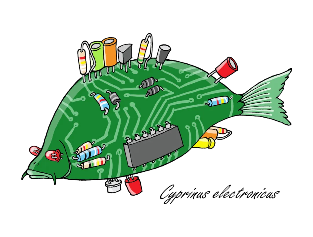 Electronic Fish