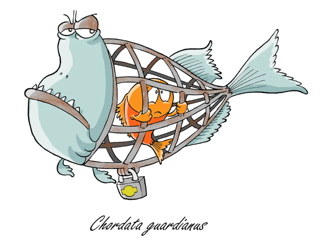 Jail Fish