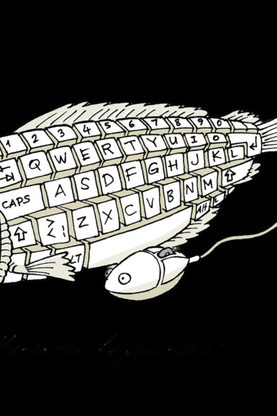 Keyboard Fish