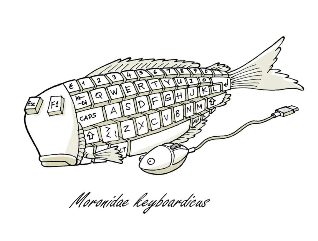 Keyboard Fish
