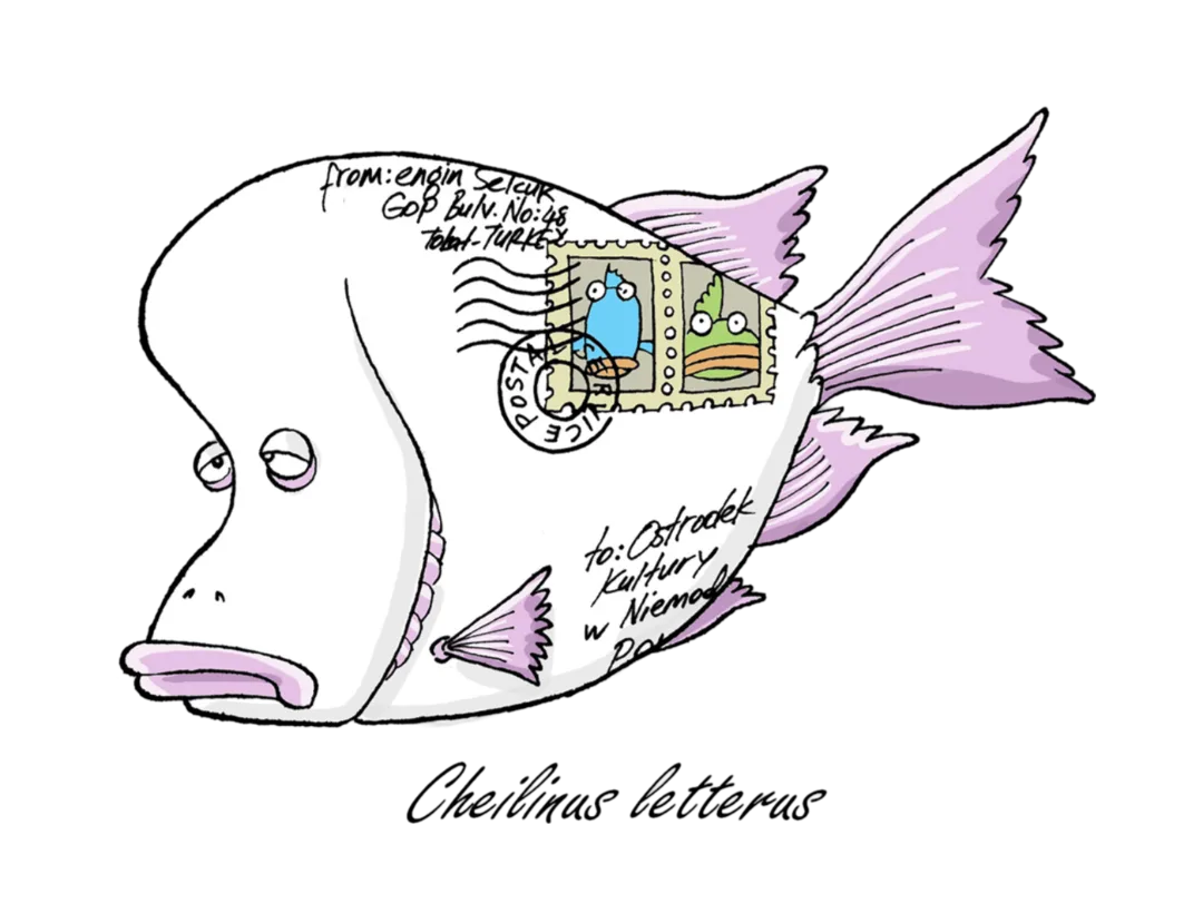 Letter Fish