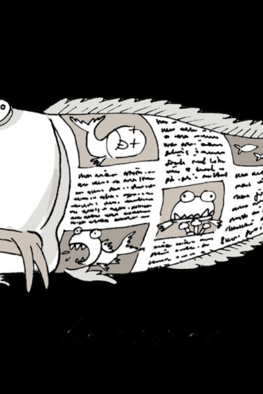 Newspaper Fish