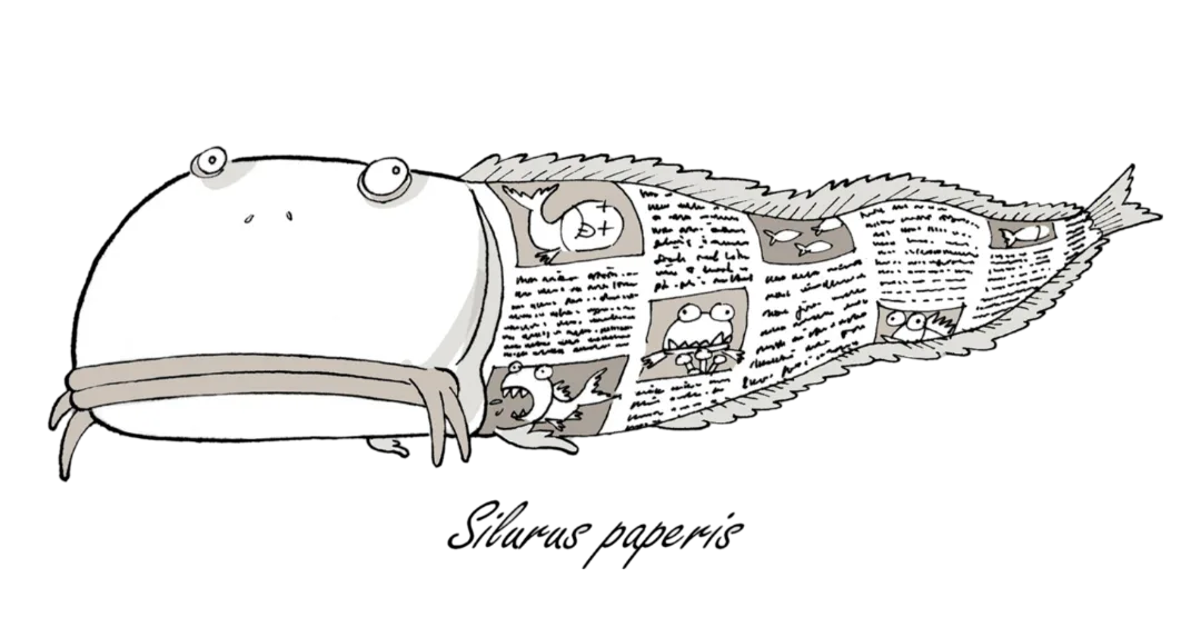 Newspaper Fish