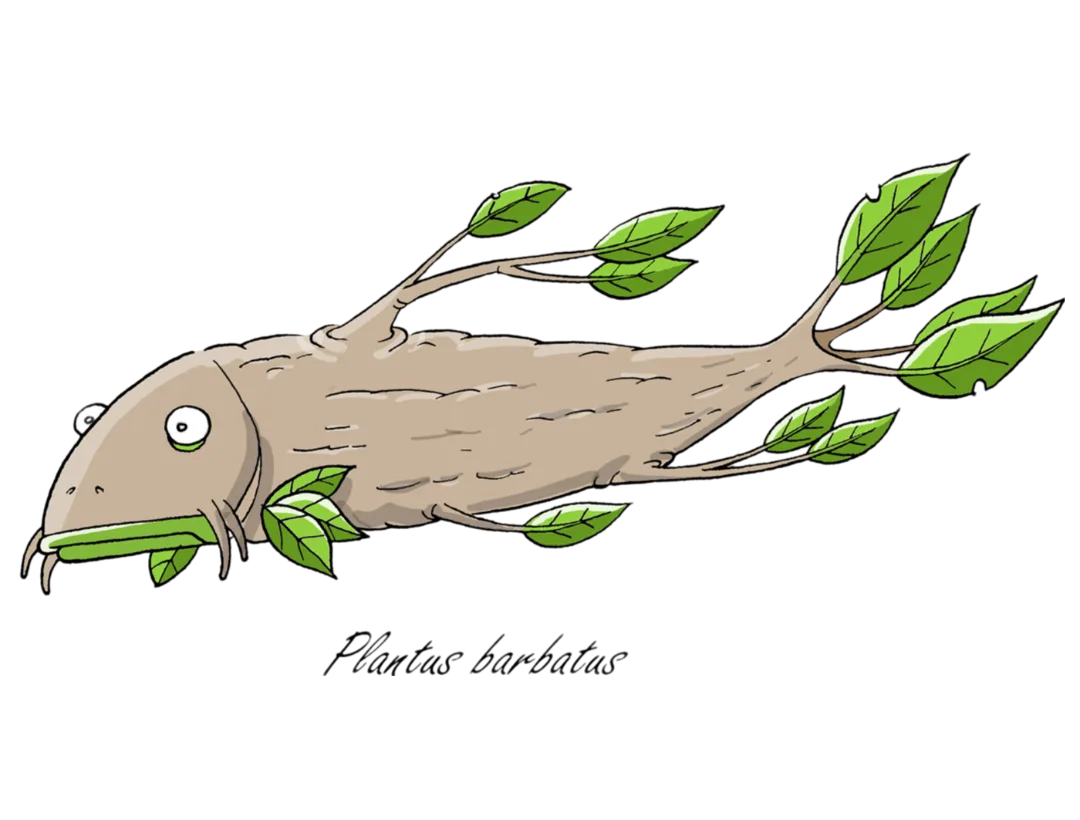 Plant Fish